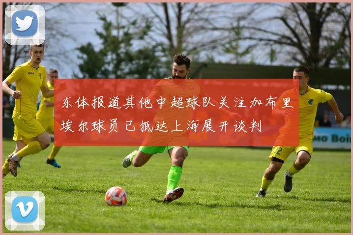 东体报道其他中超球队关注加布里埃尔球员已抵达上海展开谈判