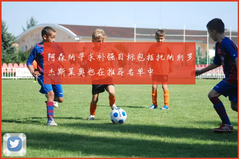 阿森纳寻求补强目标包括托纳利罗杰斯莱奥也在推荐名单中